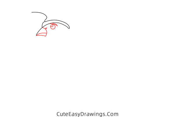 how to draw a quail - www.cuteeasydrawings.com