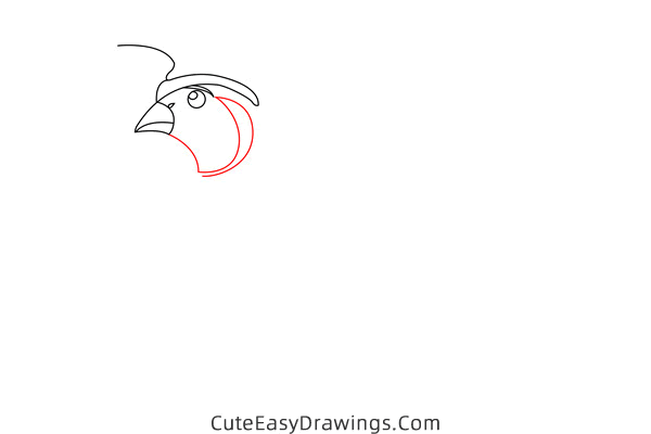 how to draw a quail - www.cuteeasydrawings.com