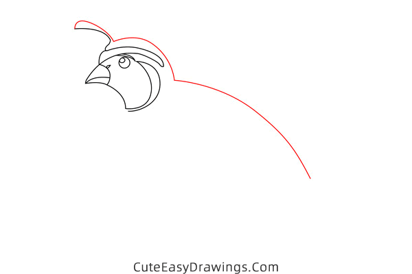 how to draw a quail - www.cuteeasydrawings.com