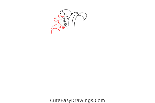 how to draw a lily flower - www.cuteeasydrawings.com