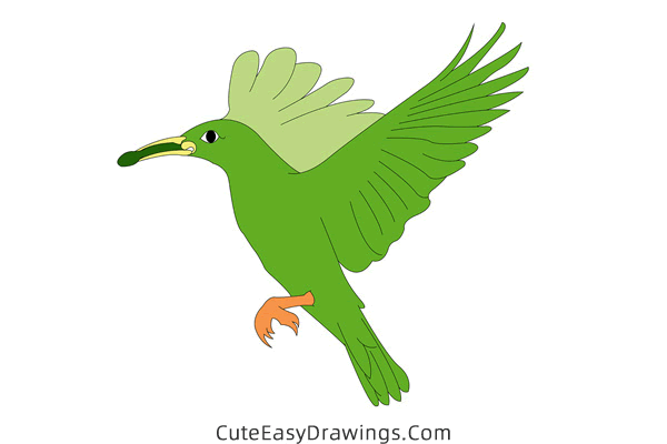 how to draw a bird with food - www.cuteeasydrawings.com