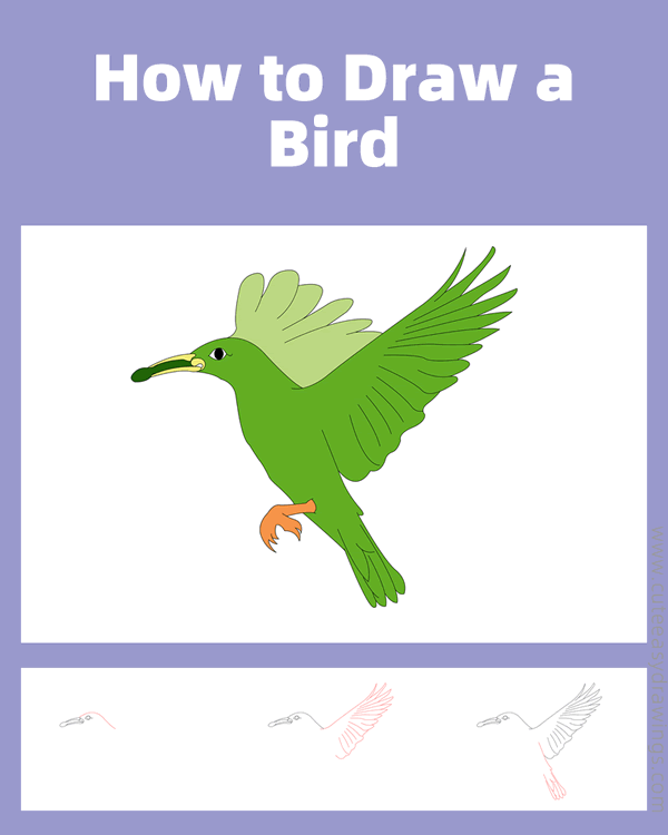 how to draw a bird with food - www.cuteeasydrawings.com