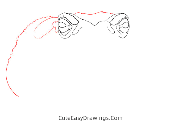 how to draw a sonoran desert toad - www.cuteeasydrawings.com