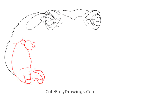 how to draw a sonoran desert toad - www.cuteeasydrawings.com