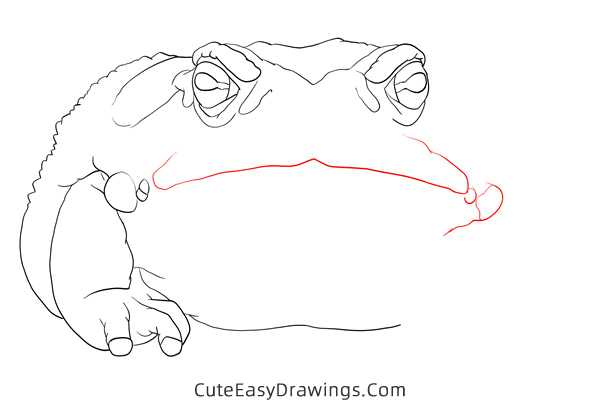 how to draw a sonoran desert toad - www.cuteeasydrawings.com