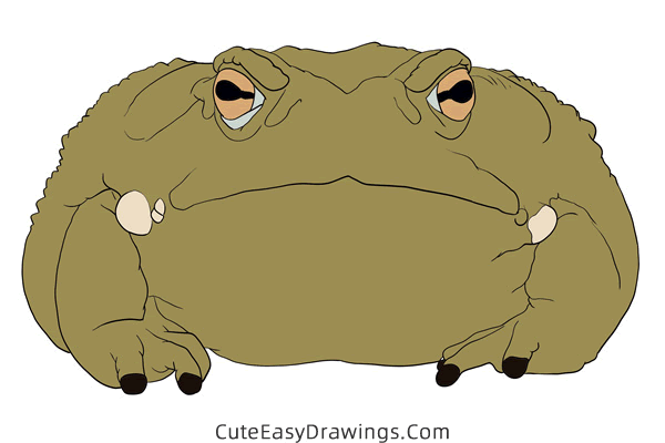 how to draw a sonoran desert toad - www.cuteeasydrawings.com